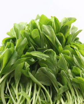 重慶明吉農(nóng)產(chǎn)品配送有限公司_重慶農(nóng)產(chǎn)品配送