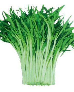 重慶明吉農(nóng)產(chǎn)品配送有限公司_重慶農(nóng)產(chǎn)品配送