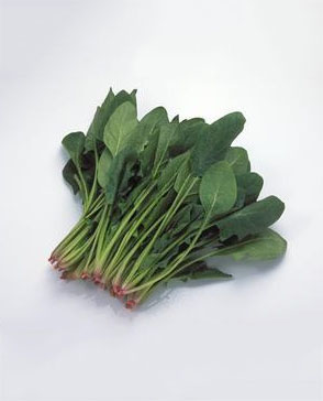 重慶明吉農(nóng)產(chǎn)品配送有限公司_重慶農(nóng)產(chǎn)品配送